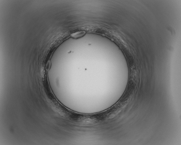 X0000113150597200909181752