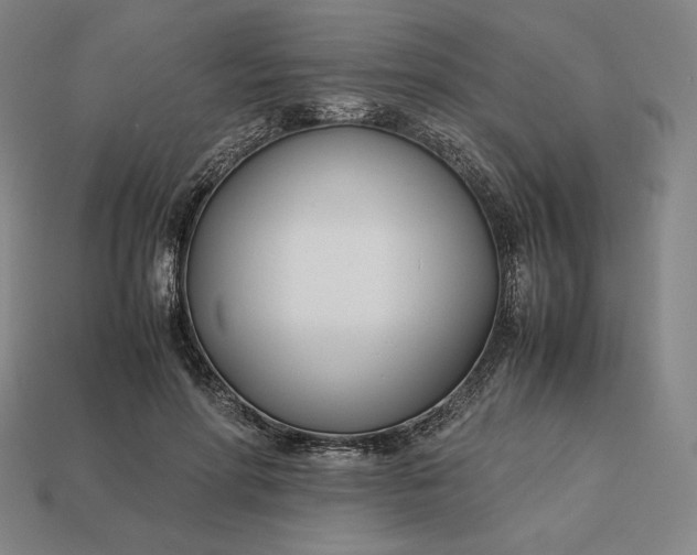 X0000113150598200909181752