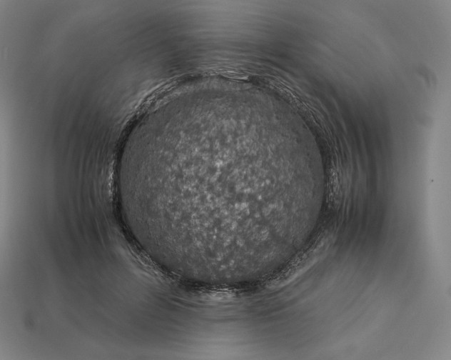 X0000113150600200909181752