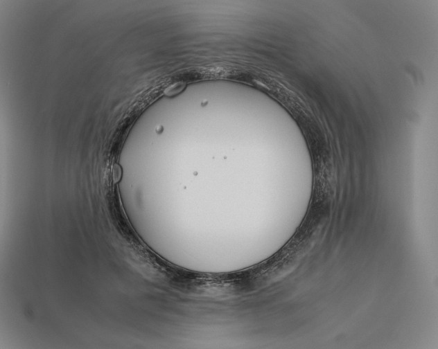 X0000113150601200909181752