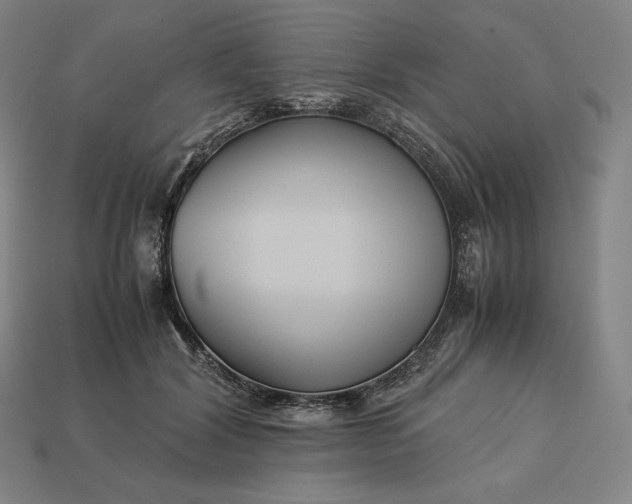 X0000113150604200909181752