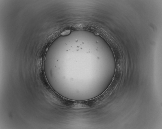 X0000113150605200909181752