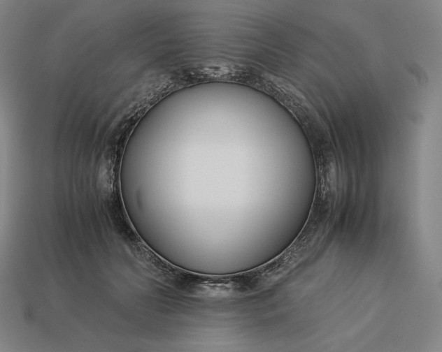 X0000113150606200909181752