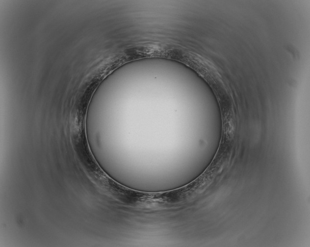 X0000113150607200909181752