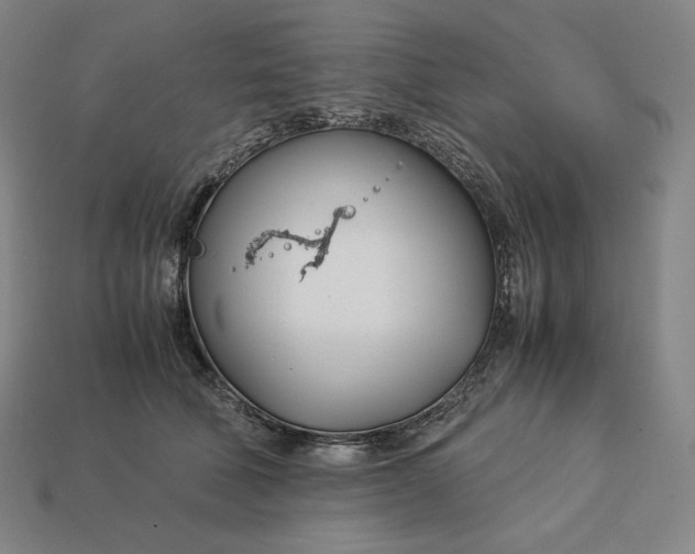 X0000113150610200909181752