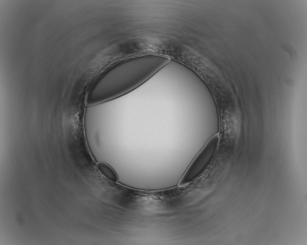 X0000113150611200909181752