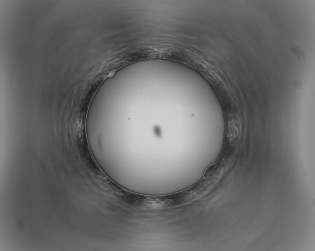 X0000113150613200909181752