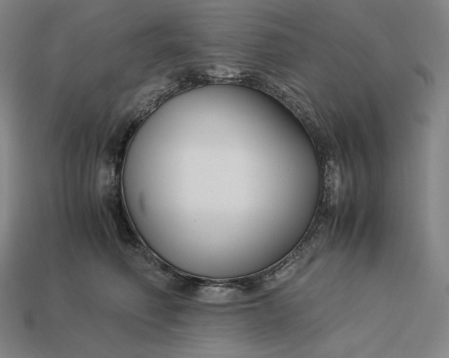 X0000113150614200909181752