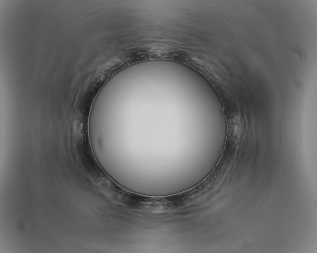 X0000113150615200909181752