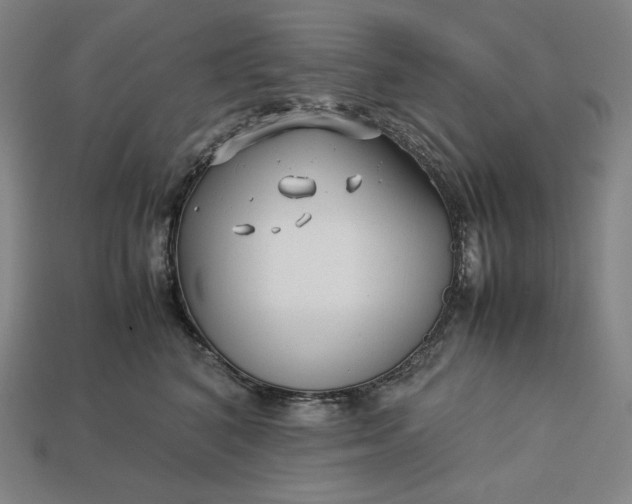 X0000113150616200909181752