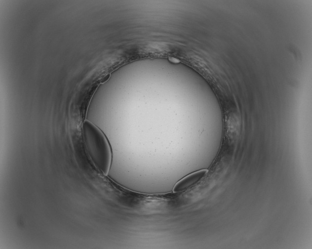 X0000113150617200909181752