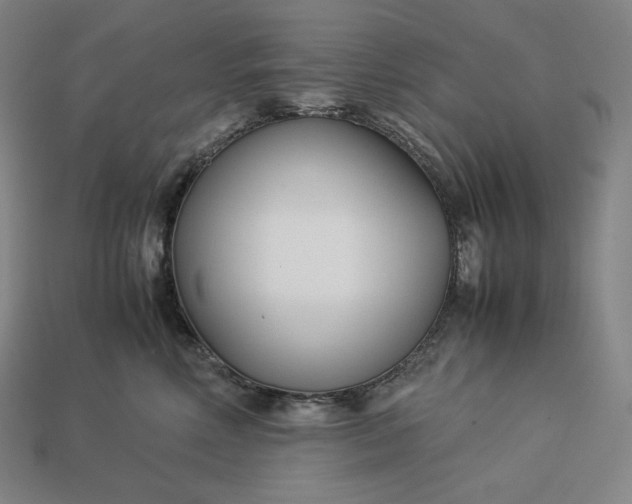 X0000113150618200909181752