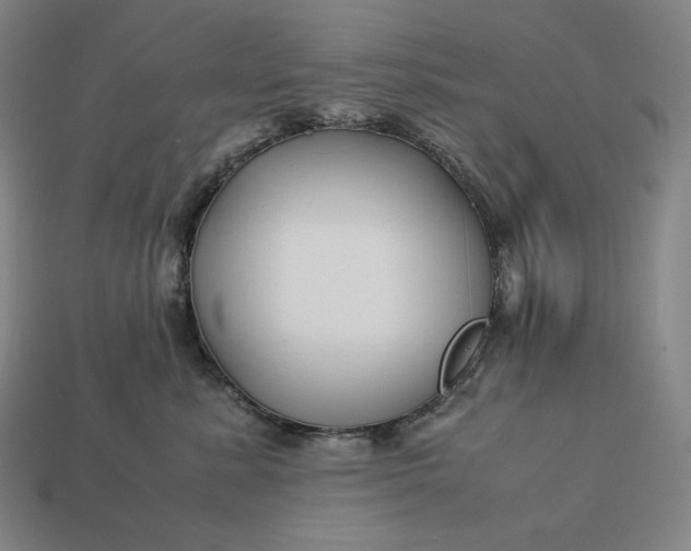 X0000113150619200909181752