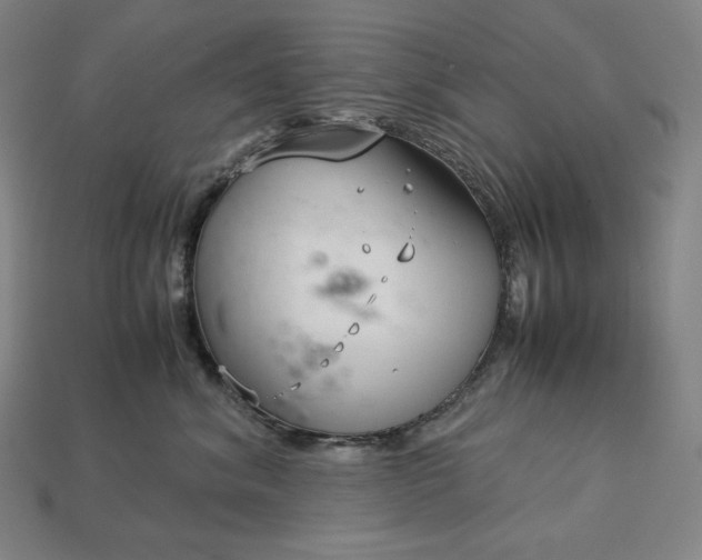 X0000113150620200909181752