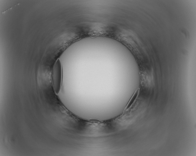 X0000113150621200909181752