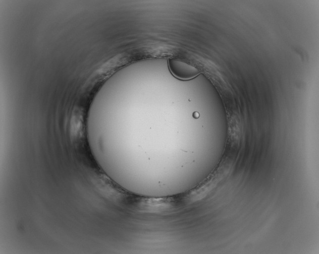 X0000113150622200909181752