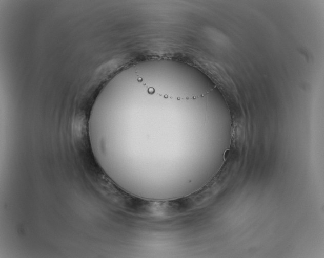 X0000113150623200909181751