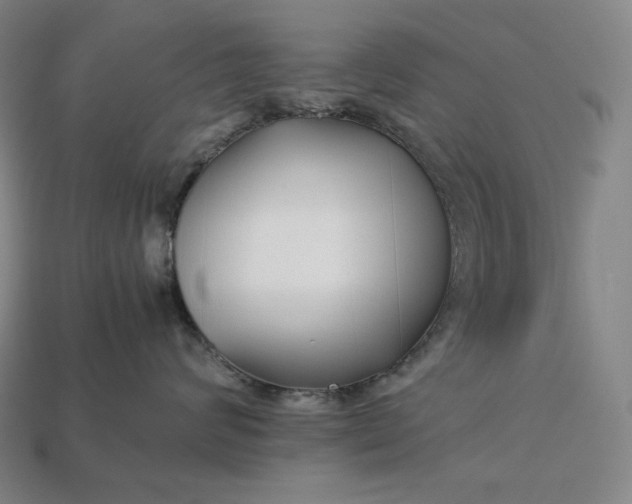 X0000113150624200909181751