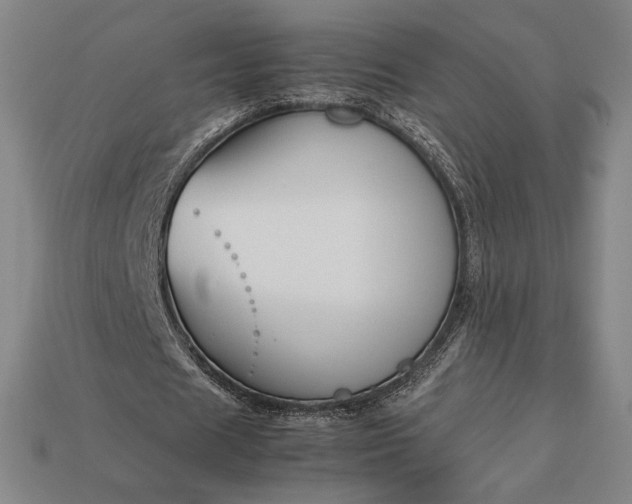 X0000113150625200909181751