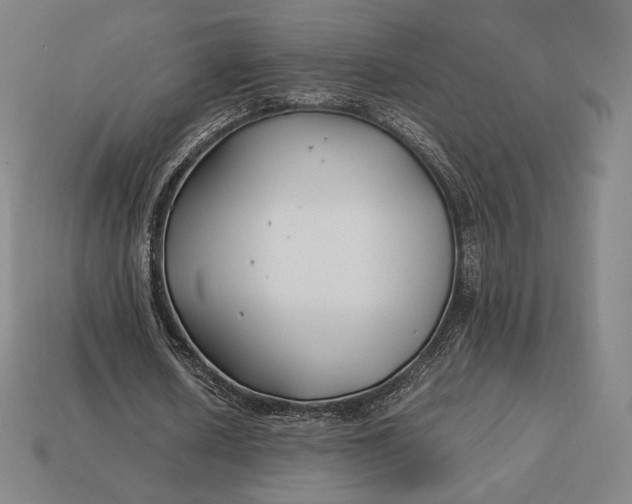 X0000113150626200909181751