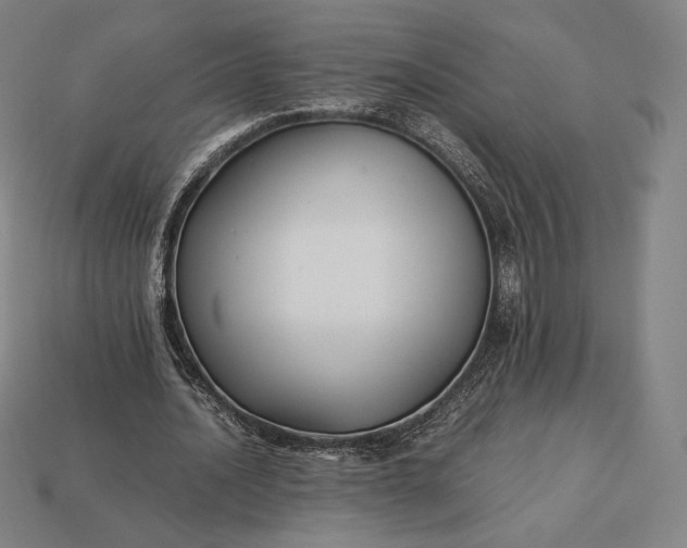 X0000113150628200909181751