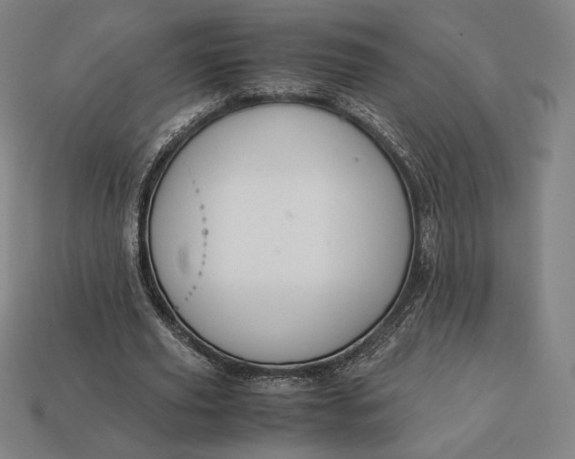 X0000113150629200909181751