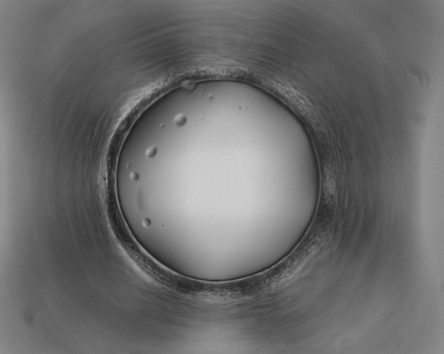 X0000113150630200909181751