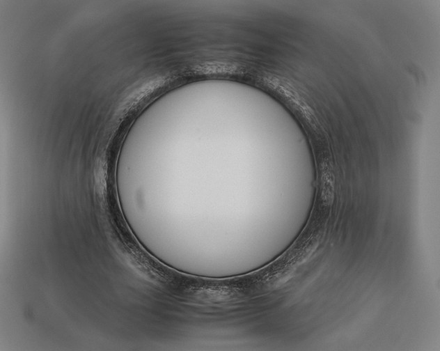 X0000113150631200909181751