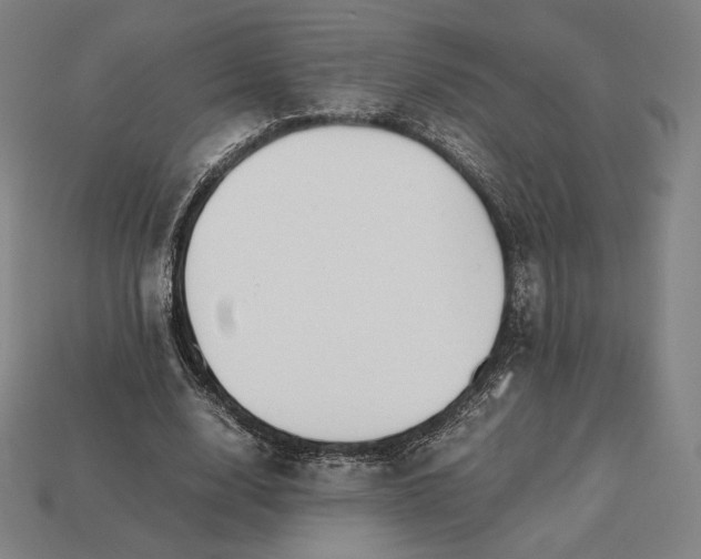 X0000113150632200909181751