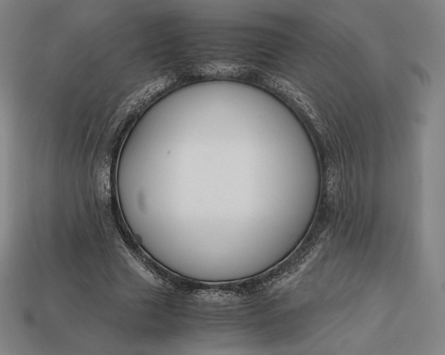 X0000113150633200909181751