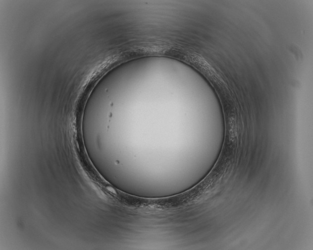 X0000113150634200909181751