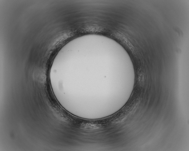 X0000113150635200909181751