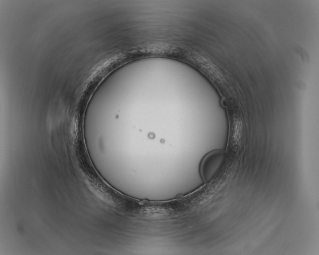 X0000113150636200909181751