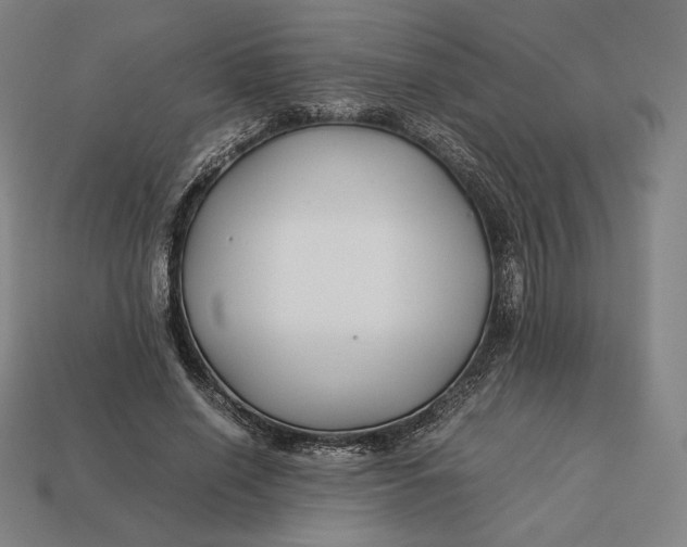 X0000113150638200909181751