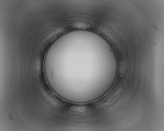 X0000113150639200909181751