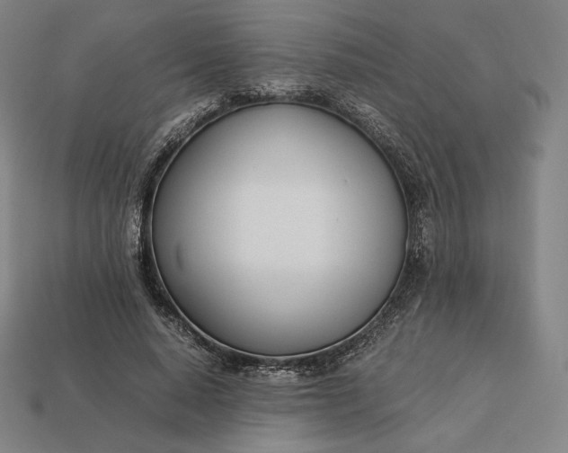 X0000113150640200909181751