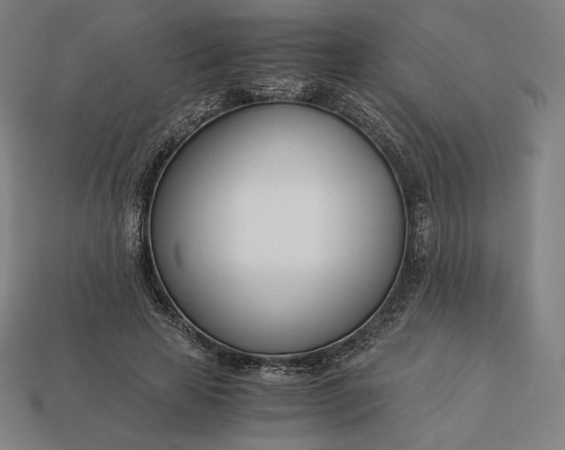 X0000113150641200909181751