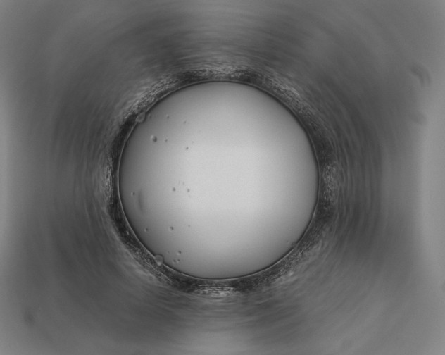 X0000113150642200909181751