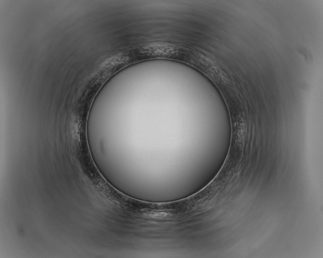 X0000113150643200909181751