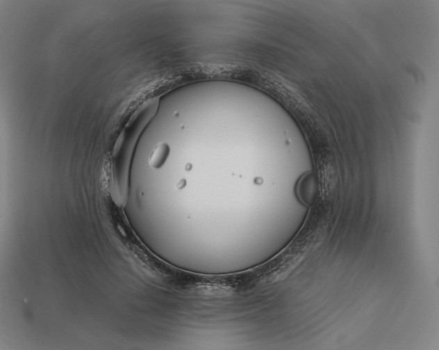 X0000113150644200909181751