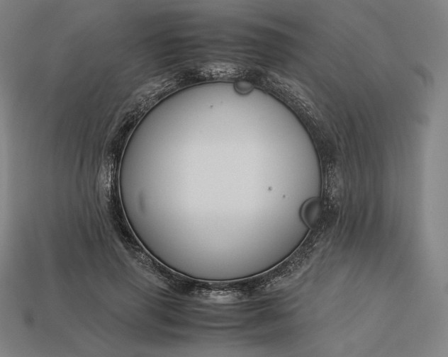 X0000113150645200909181751