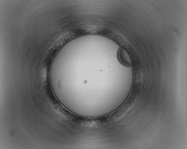 X0000113150646200909181751