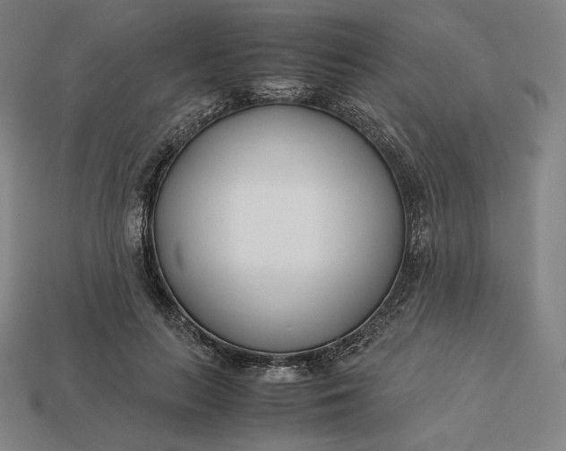 X0000113150647200909181751