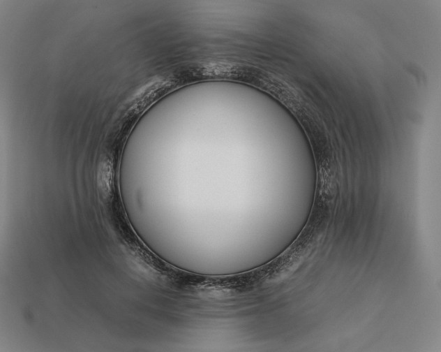 X0000113150648200909181751