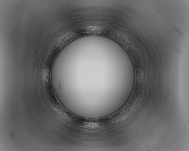 X0000113150649200909181751