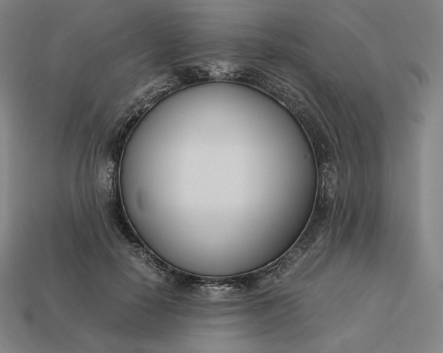 X0000113150650200909181751