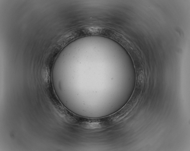 X0000113150651200909181751