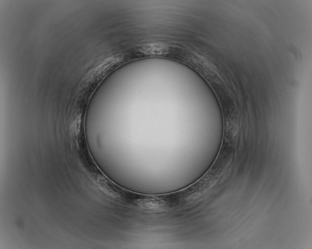 X0000113150652200909181751