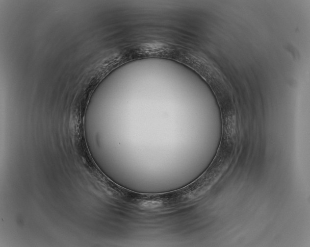 X0000113150653200909181751