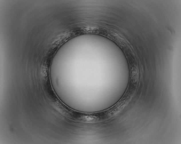 X0000113150654200909181751